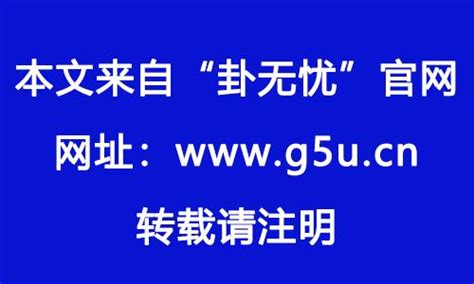 老鼠的幸運色|2024年属鼠人穿什么颜色最旺 2024年属鼠的幸运色